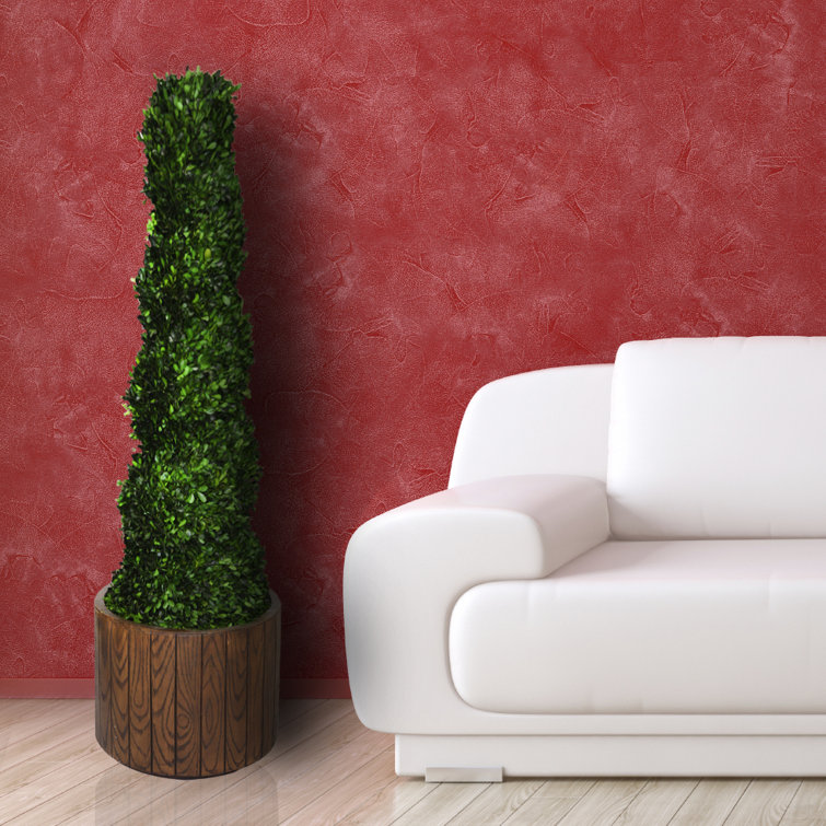 Tall Preserved Spiral Boxwood Cone Topiary in Planter Topiary